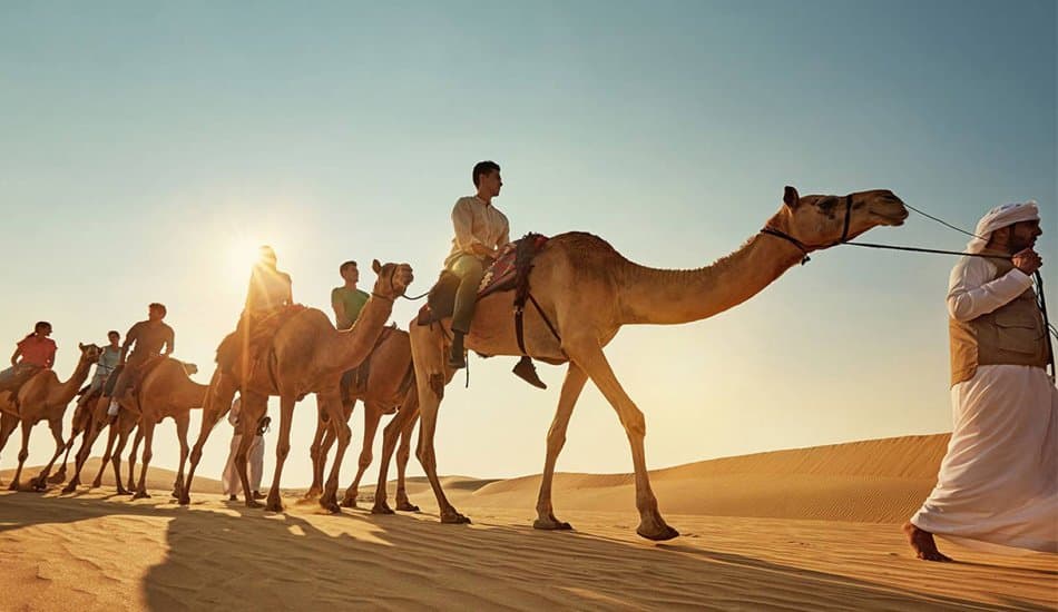 Exiting Camel Ride Dubai