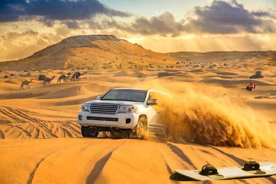 Morning Desert Safari 2025
