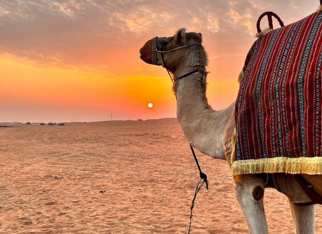 Dubai Sunrise Desert Safari